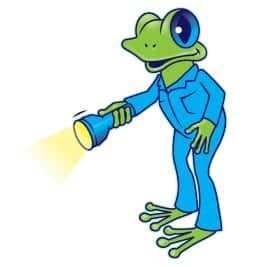 Frog with flashlight